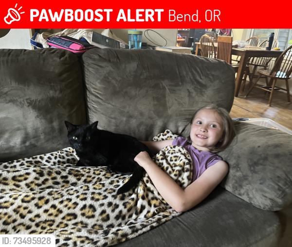 Lost Female Cat last seen SE Pelee Drive, Bend, OR 97702