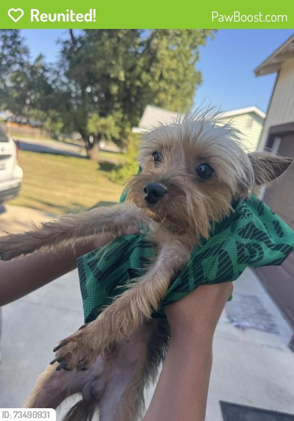 Reunited Male Dog last seen pemberton street, White Settlement, TX 76108