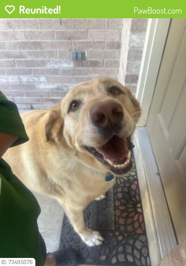 Reunited Female Dog last seen Magnolia Heights, Senatobia, MS 38668