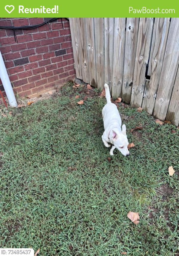 Reunited Female Dog last seen Fawnfield Dr and Stewart’s Creek Rd 37129, Murfreesboro, TN 37129