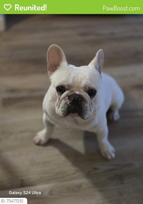 Reunited Male Dog last seen Near regents, Redwood City, CA 94061