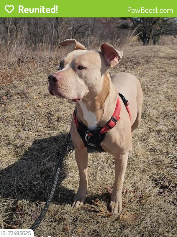 Reunited Female Dog last seen Olin park, Madison, WI 53715