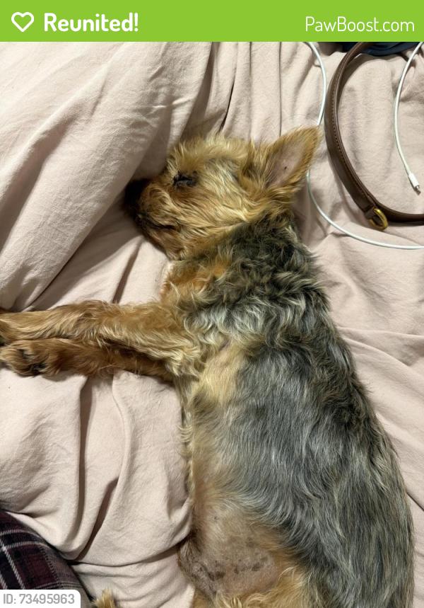 Reunited Male Dog last seen Red Bluff Rd, Pasadena, TX 77503