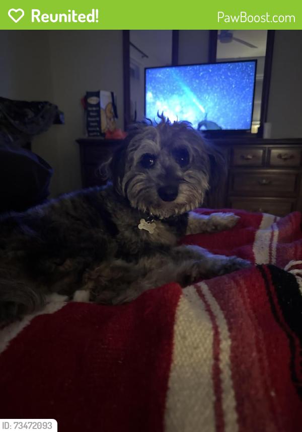 Reunited Female Dog last seen Traffic circle, Southampton Township, NJ 08088