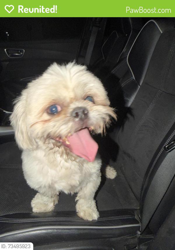 Reunited Male Dog last seen Spring creek and custer, Plano, TX 75023