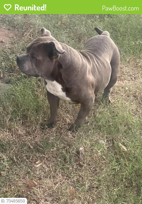 Reunited Male Dog last seen Gragg Ranch, Guthrie, OK 73044