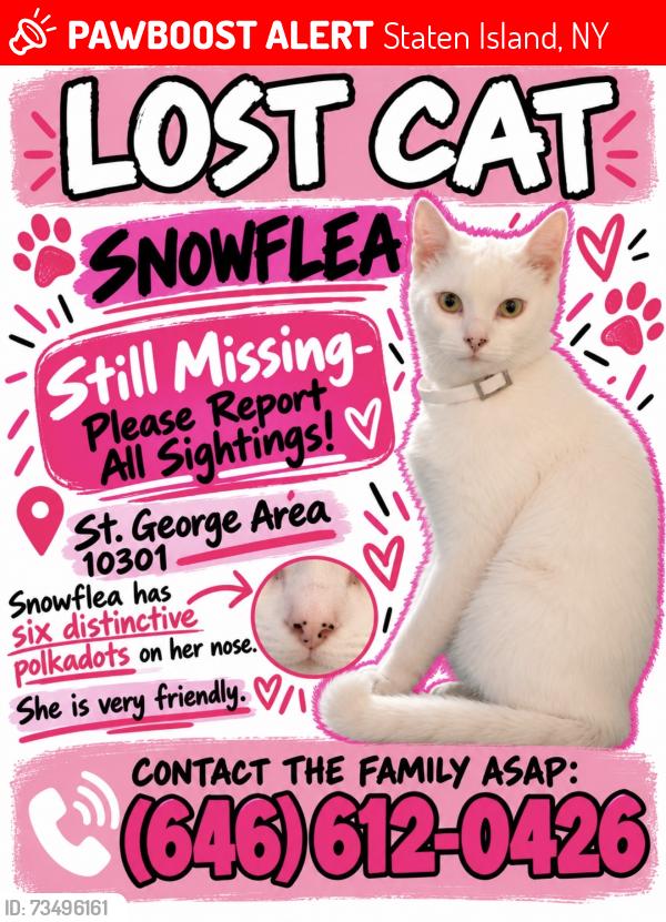 Lost Female Cat last seen Westervelt and Jersey Street, Staten Island, NY 10301