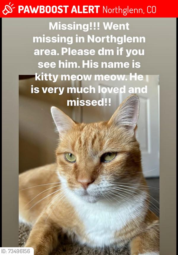 Lost Male Cat last seen Northglenn. 120th, Northglenn, CO 80234
