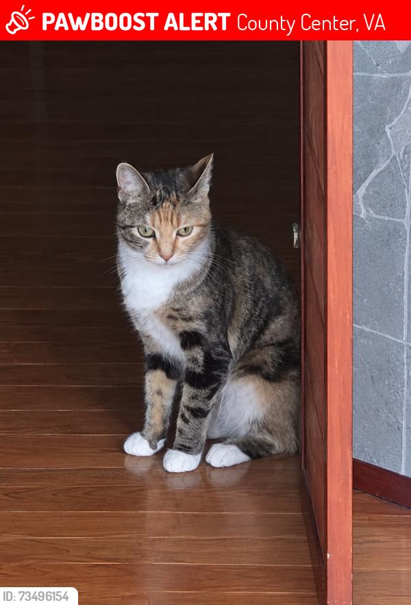 Lost Female Cat last seen County Center neighborhood behind Ruby Tuesday, County Center, VA 22192