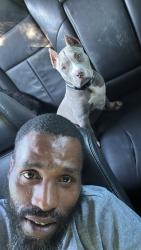 Lost Female Dog last seen Near and Jefferson, Philadelphia, PA 19151