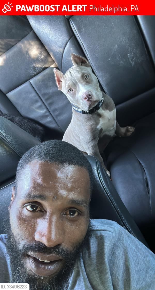 Lost Female Dog last seen Near and Jefferson, Philadelphia, PA 19151