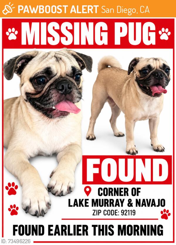 Found/Stray Male Dog last seen Navajo and lake Murray, San Diego, CA 92119