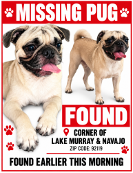 Found/Stray Male Dog last seen Navajo and lake Murray, San Diego, CA 92119