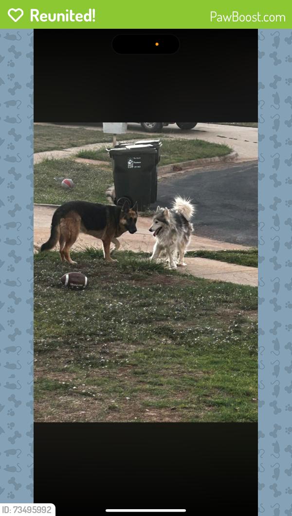 Reunited Male Dog last seen Classen and Cedar Lane, Norman, OK 73071