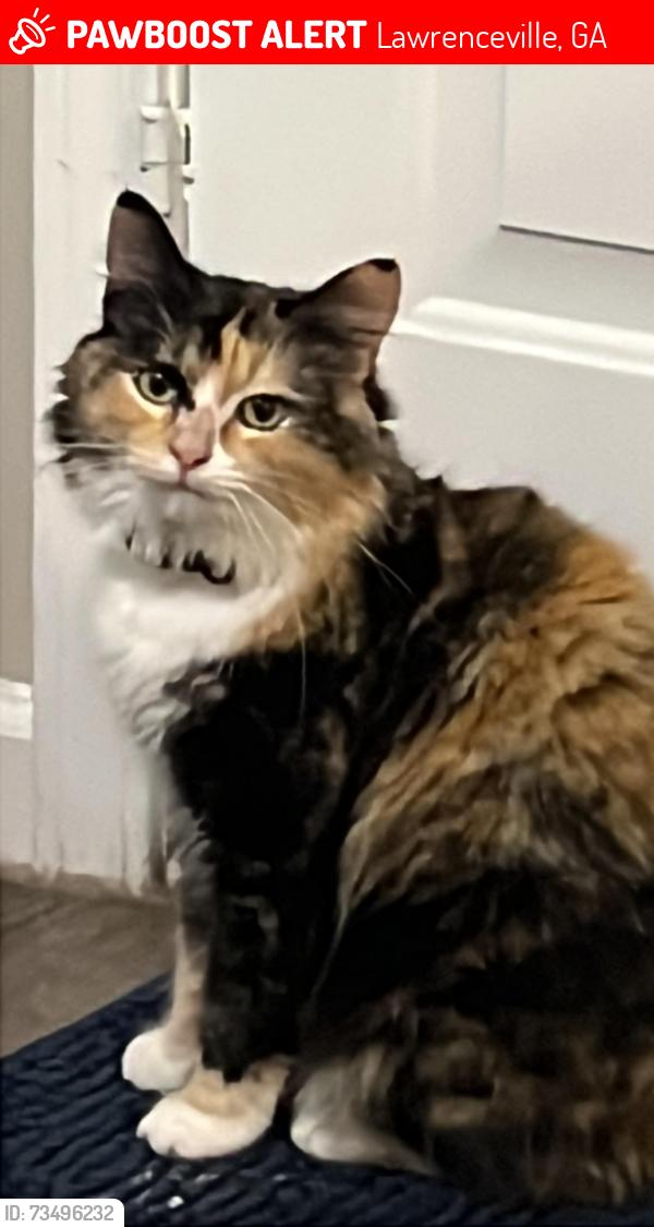 Lost Female Cat last seen hse, Lawrenceville, GA 30043