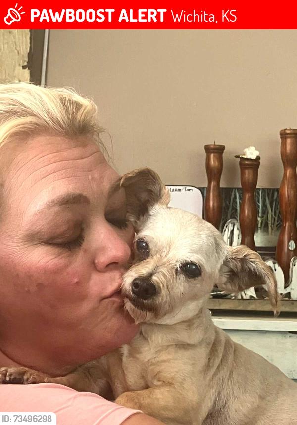 Lost Female Dog last seen 31st and Seneca, Wichita, KS 67217