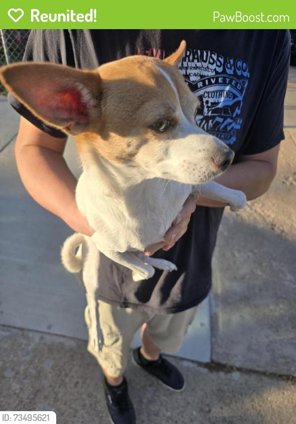 Reunited Male Dog last seen Tejon And W Nevada Pl, Denver, CO 80223