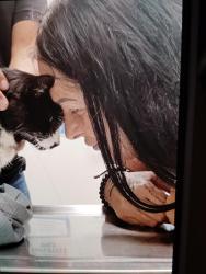 Reunited Male Cat last seen Water oak at the lake subdivision, Mooresville, NC 28117