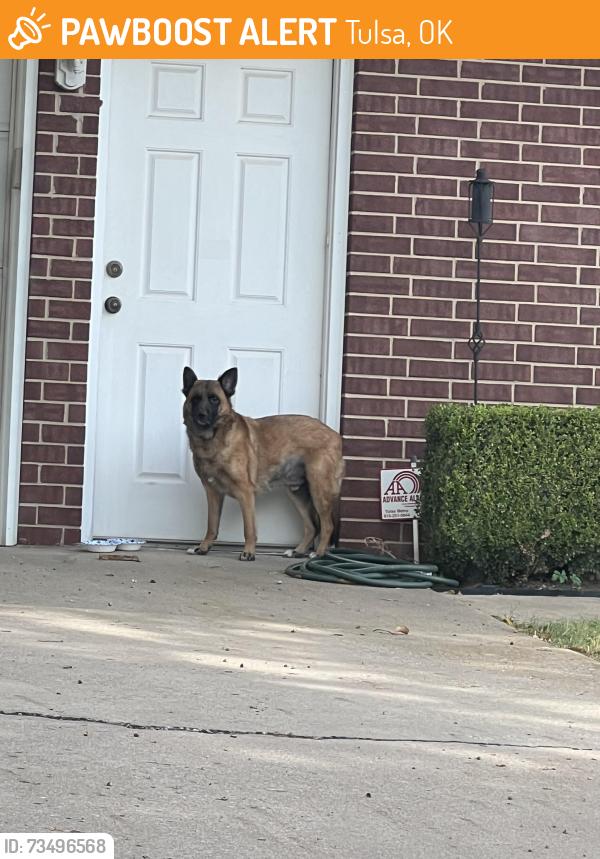 Found/Stray Unknown Dog last seen At the entrance of the chimney hills neighborhood on 72nd E ave, Tulsa, OK 74133