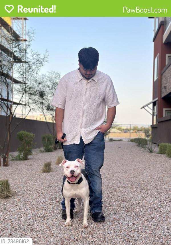 Reunited Female Dog last seen Near W Solano Dr, Glendale, AZ 85303