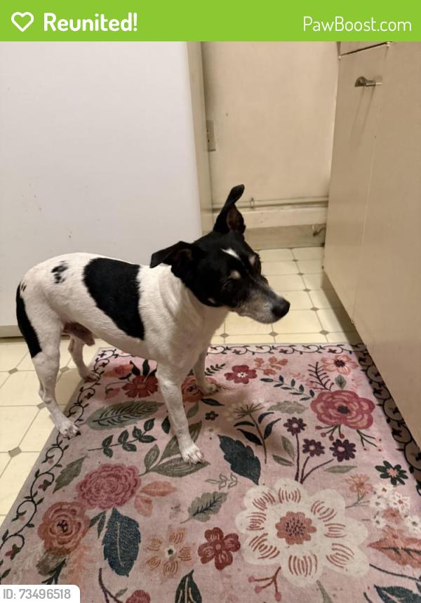 Reunited Male Dog last seen Kalmia and Second, San Diego, CA 92101