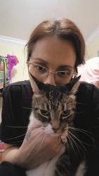 Reunited Female Cat last seen Wrightsville and Bonham Ave, Wilmington, NC 28403