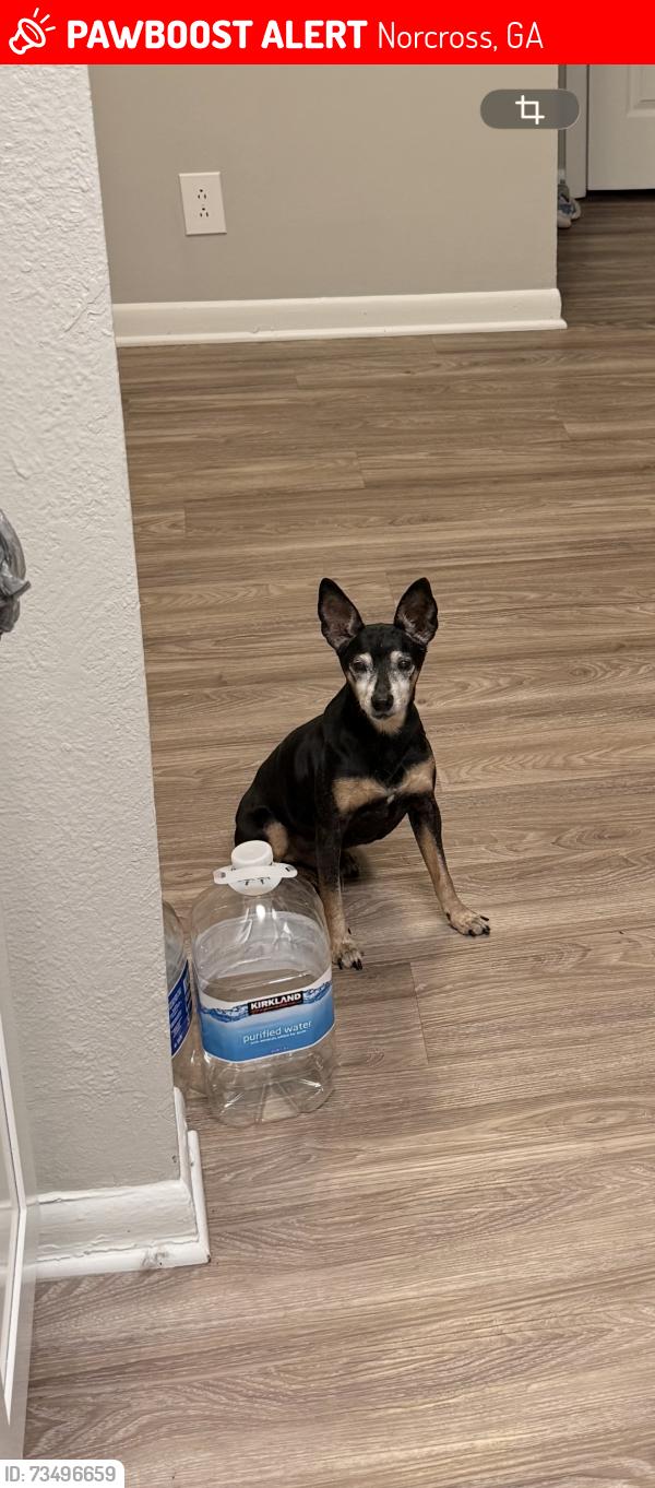 Lost Male Dog last seen Near Hampton Xing Norcross, Norcross, GA 30093