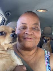 Reunited Male Dog last seen Wenlon Drive, Murfreesboro, TN 37130