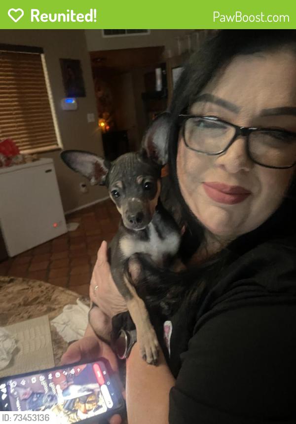 Reunited Male Dog last seen Between 7st and 16st of baseline, Phoenix, AZ 85042