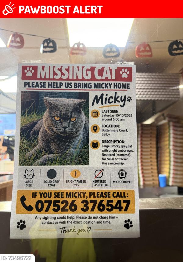 Lost Male Cat last seen Near Buttermere Court, North Yorkshire, England YO8 4BD