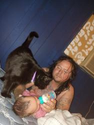 Lost Male Cat last seen In the country, Watertown, TN 37184