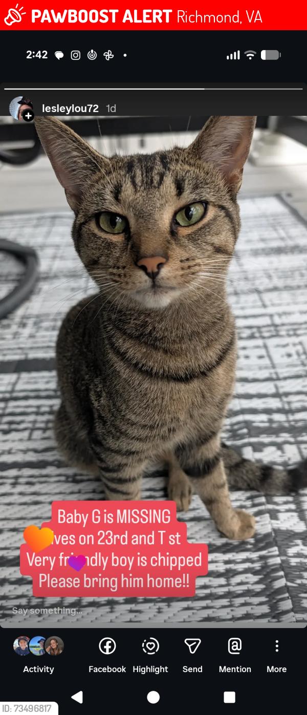 Lost Male Cat last seen 23rd and T street, Richmond, VA 23223