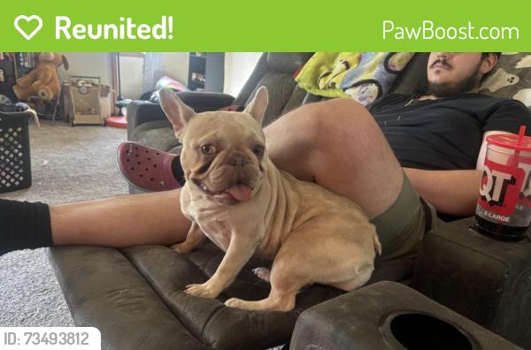 Reunited Female Dog last seen Near S Gordon St, Wichita, KS 67213, USA, Wichita, KS 67213