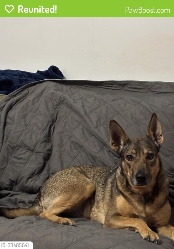 Reunited Unknown Dog last seen Pecan Grove Loop, Gray's Creek, NC 28348, USA, Gray's Creek, NC 28348