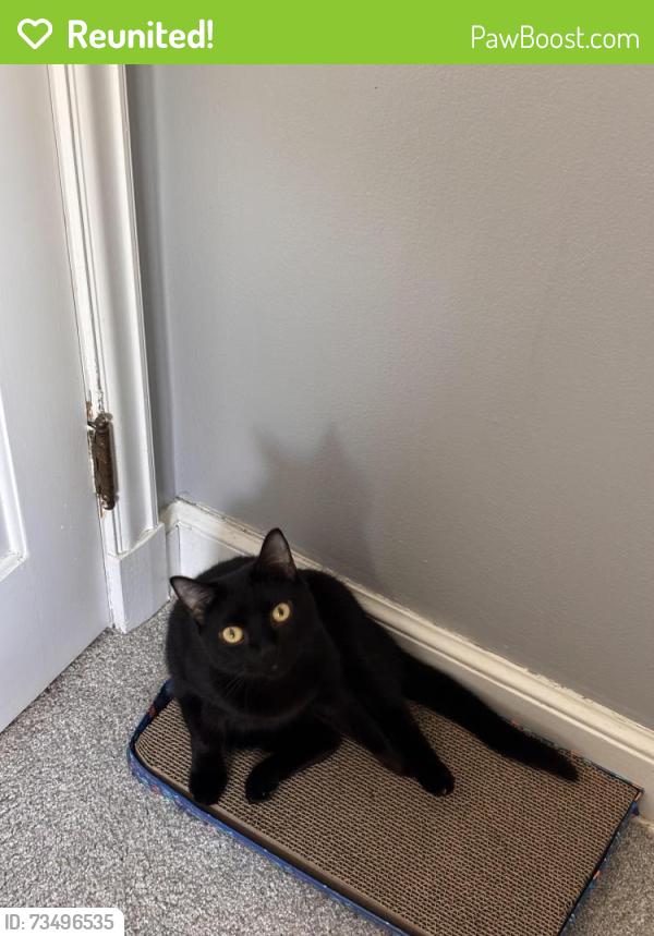 Reunited Female Cat last seen Sunnyside Park & Ollie's/CVS, Kenosha, WI 53142