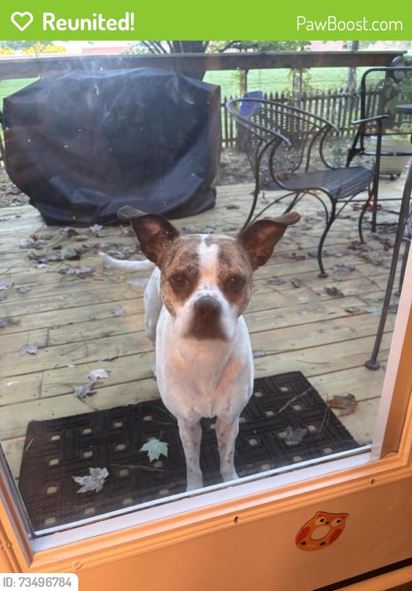 Reunited Female Dog last seen Hope valley elementary, Durham, NC 27707