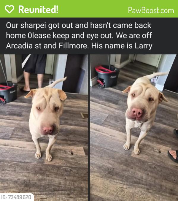 Reunited Male Dog last seen Arcadia, Colorado Springs, CO 80907