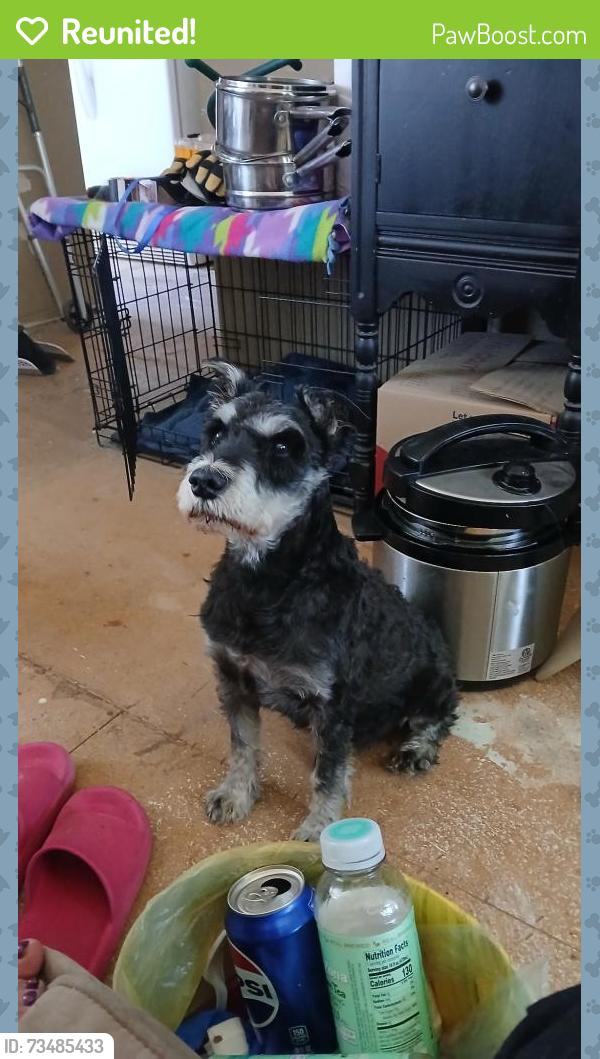 Reunited Male Dog last seen E 48th Ave and Quentin in Montbello, Denver, CO 80239