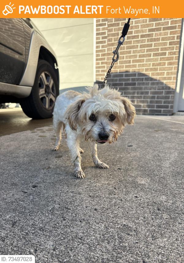 Found/Stray Unknown Dog last seen White field drive, Fort Wayne, IN 46804