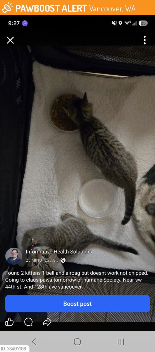 Found/Stray Unknown Cat last seen 44th st and ne 128th ave, Vancouver, WA 98682