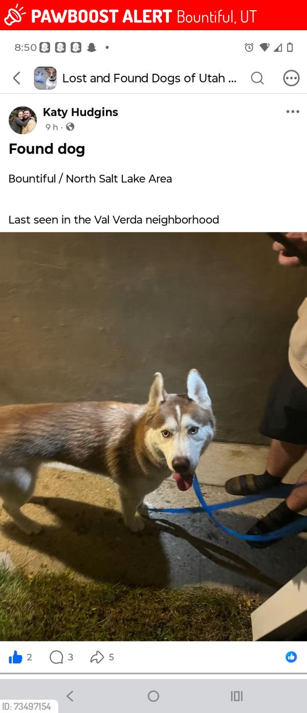 Lost Male Dog last seen Near East 3100 South, Bountiful, UT 84010
