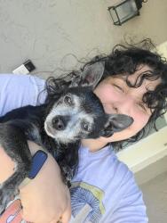 Reunited Female Dog last seen SW 7th St Margate FL, Margate, FL 33068