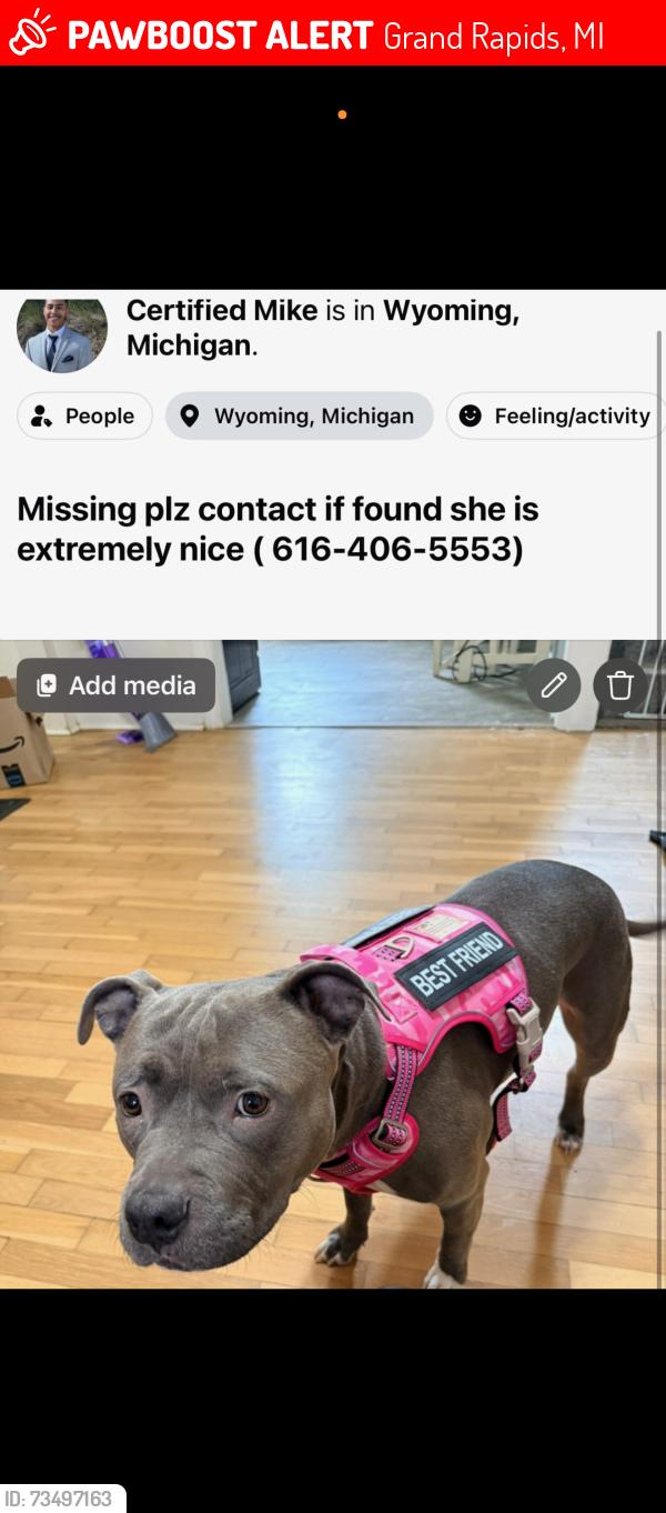 Lost Female Dog last seen Kelloggville high school, Grand Rapids, MI 49548