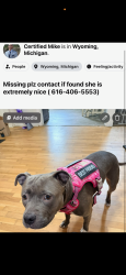 Lost Female Dog last seen Kelloggville high school, Grand Rapids, MI 49548