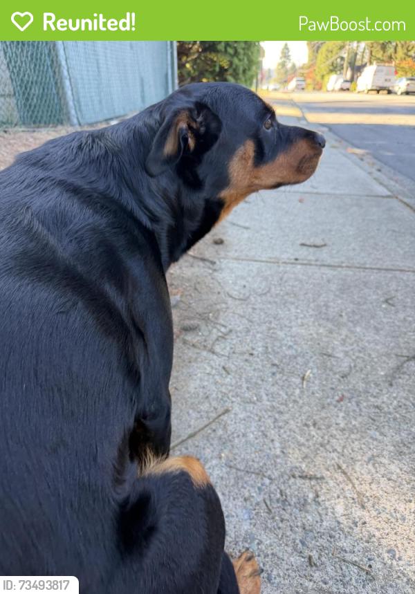 Reunited Unknown Dog last seen Austin and mundy, Coquitlam, BC 