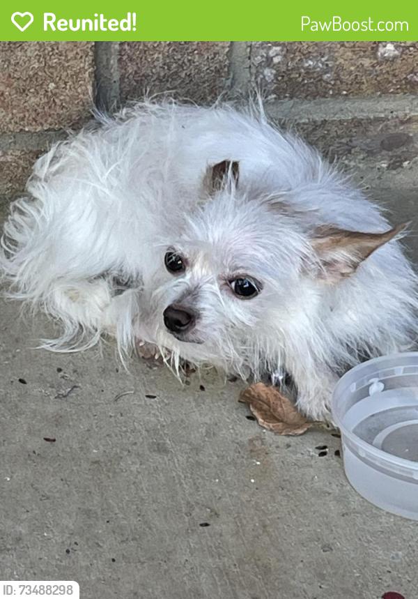 Reunited Unknown Dog last seen Near Sunrise LN Hutchins, TX, Hutchins, TX 75141