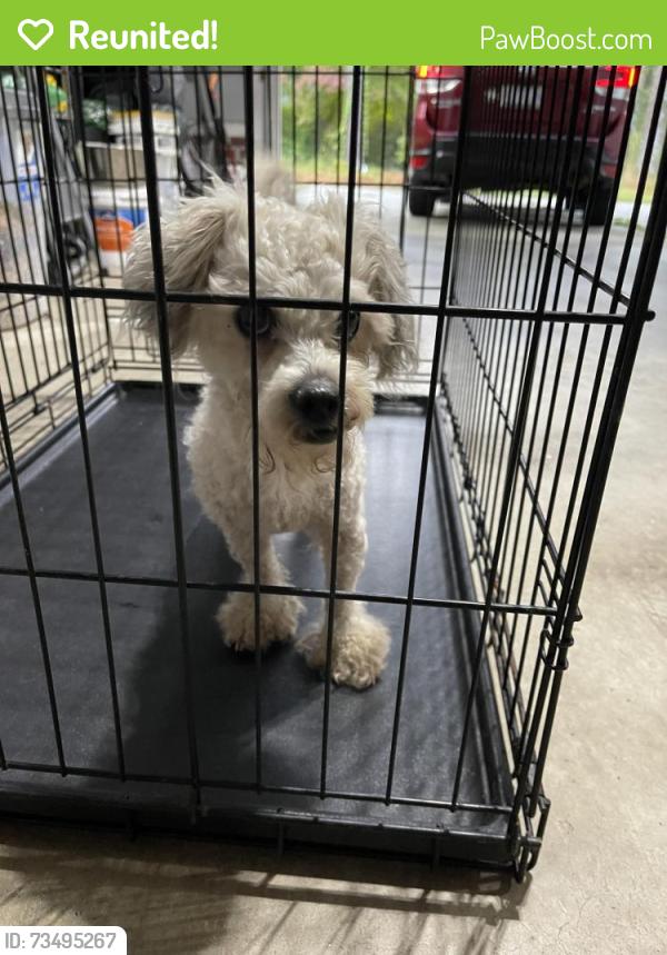 Reunited Male Dog last seen Ellis Rd, Hoke County, NC 28357