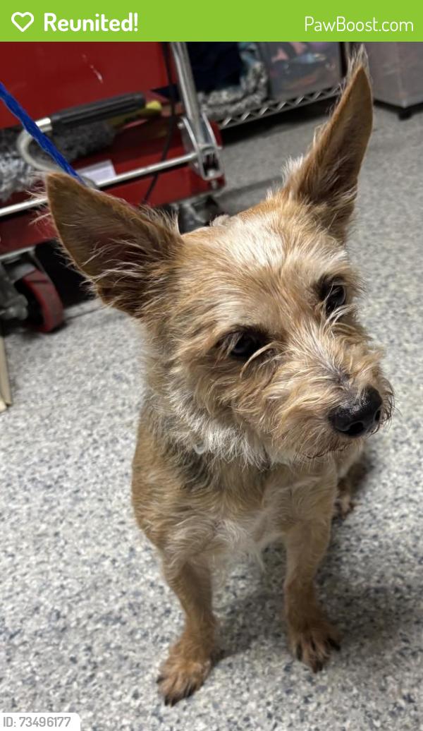 Reunited Unknown Dog last seen Port St. Lucie, Port St. Lucie, FL 34986