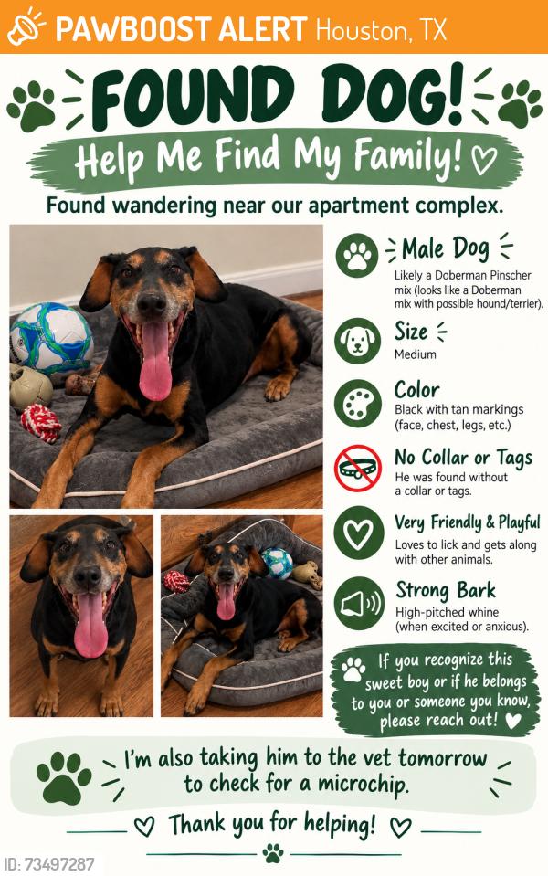 Found/Stray Male Dog last seen Near, Houston, TX 77024