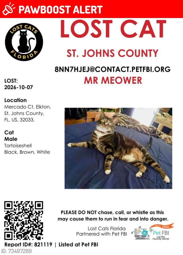 Lost Male Cat last seen Near &coquina crossing, St. Johns County, FL 32033